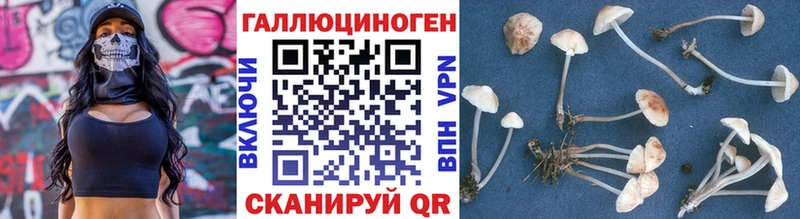 Галлюциногенные грибы мицелий купить Югорск