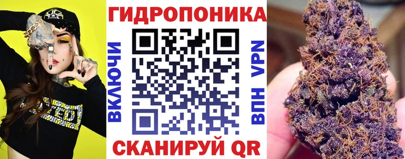 кракен ONION  Югорск  Бошки Шишки Amnesia  как найти  